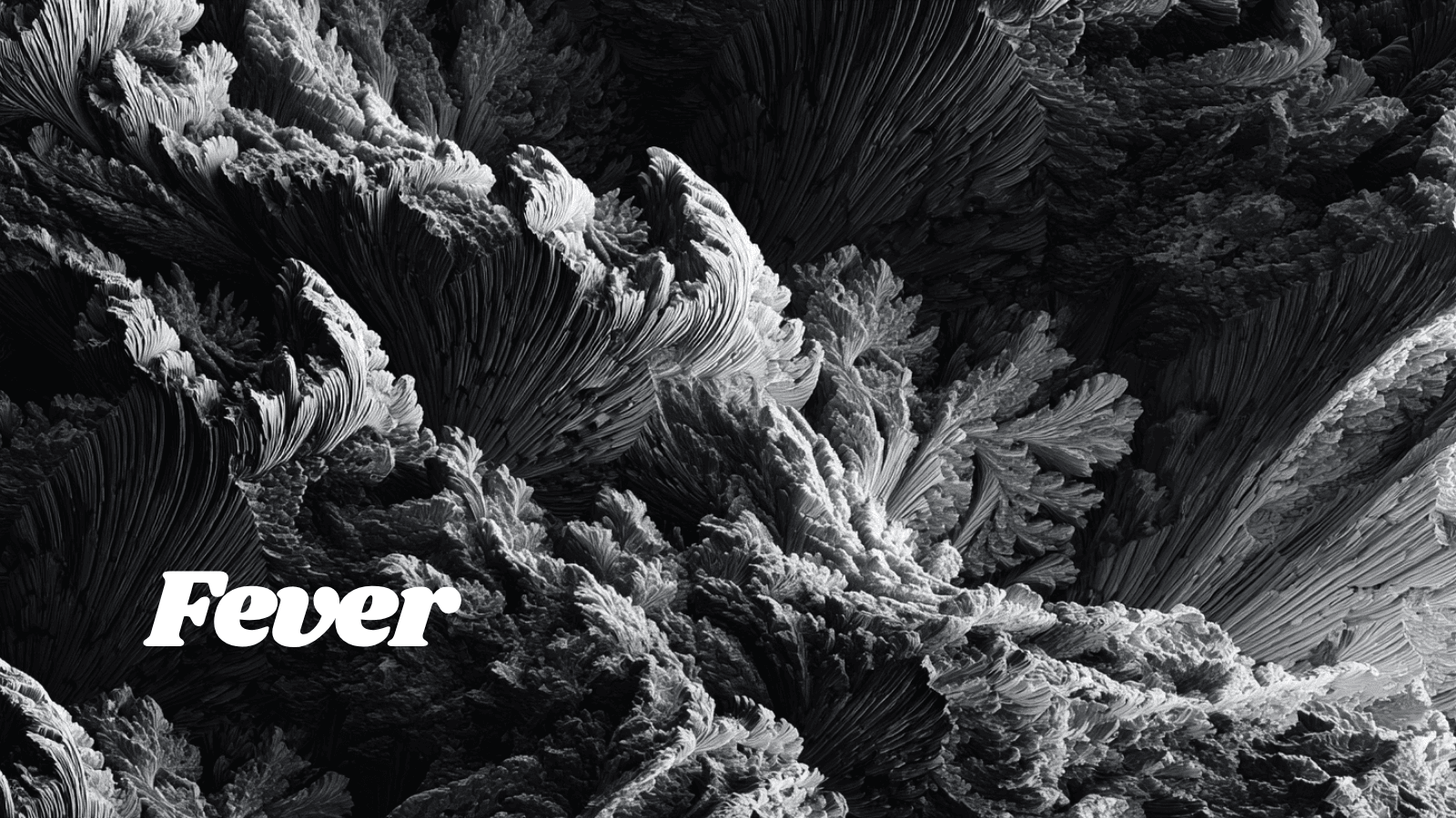 Fever New York